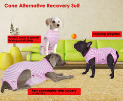 Wabdhaly Recovery Suit cone-alternative keeps dog calm while eating.
