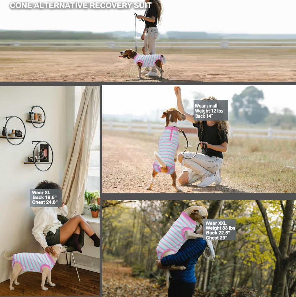 Wabdhaly recovery suit dogs potty-friendly view shows quick potty breaks without removal