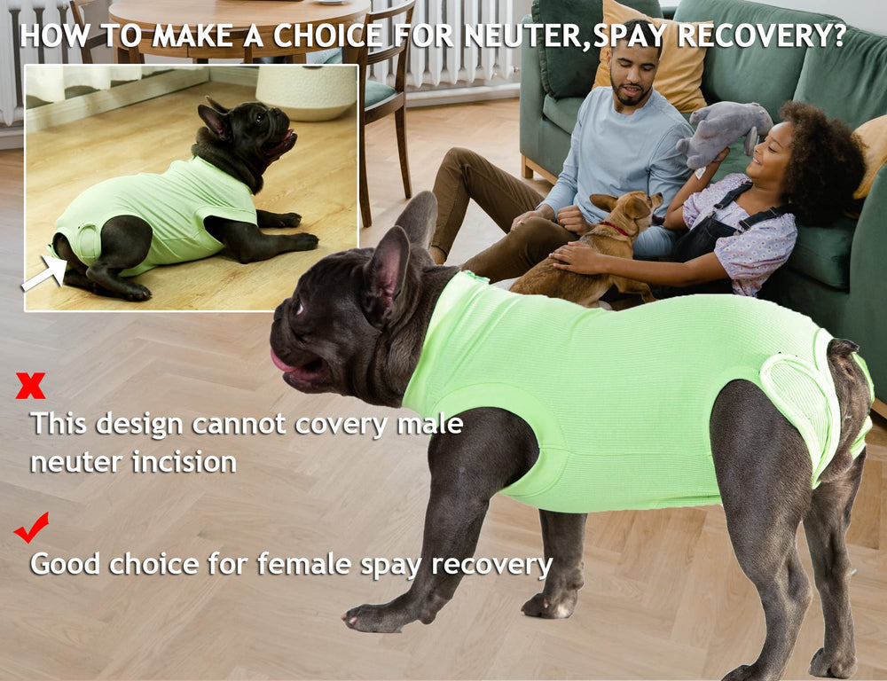 Wabdhaly Recovery Suit for Dogs XL fit shows chest 25.2 to 28.4 inches.
