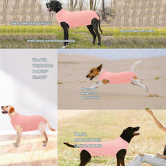 Wabdhaly recovery suit for female spay shows wound protection and comfortable fit