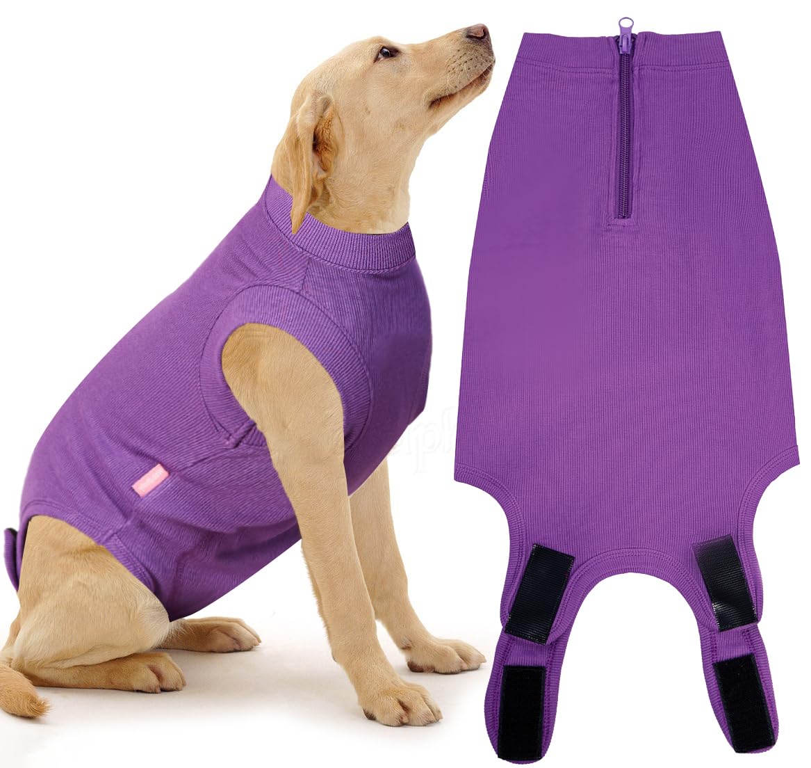 Wabdhaly recovery suit on dog showing cone-free recovery and comfort