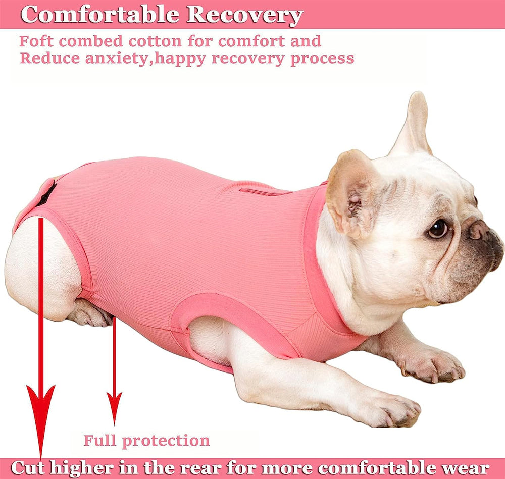 Wabdhaly size large recovery suit fit detail for dogs