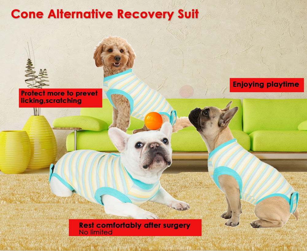 Wabdhaly size-large recovery suit fits 25-38 lb dogs with secure closure