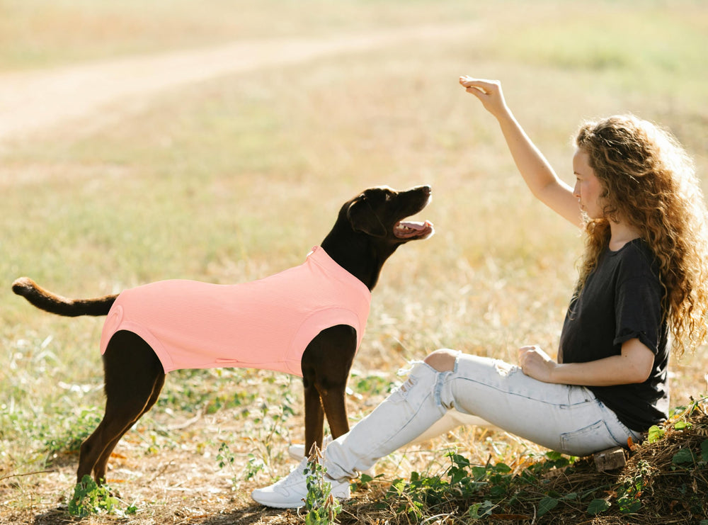 Wabdhaly xl-fit ensures accurate sizing for larger dogs during recovery