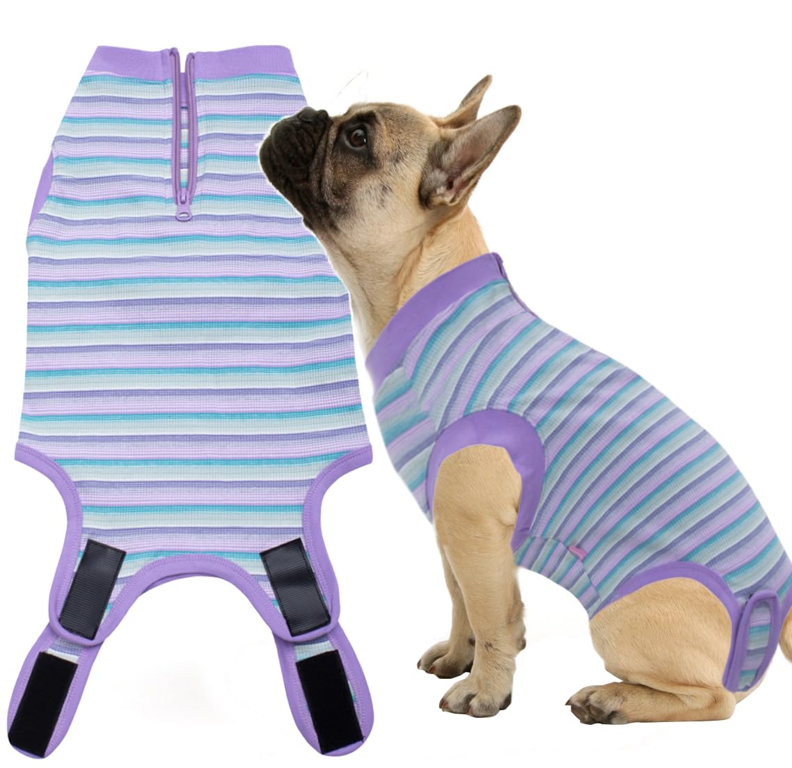 Wabdhaly recovery suit with zipper aids easy dressing and wound protection for dogs.