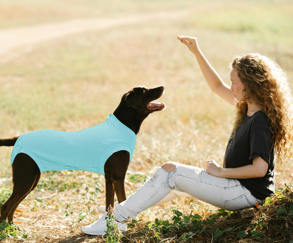 Wabdhaly size 3x-large dog surgery suit ensures snug, supportive fit