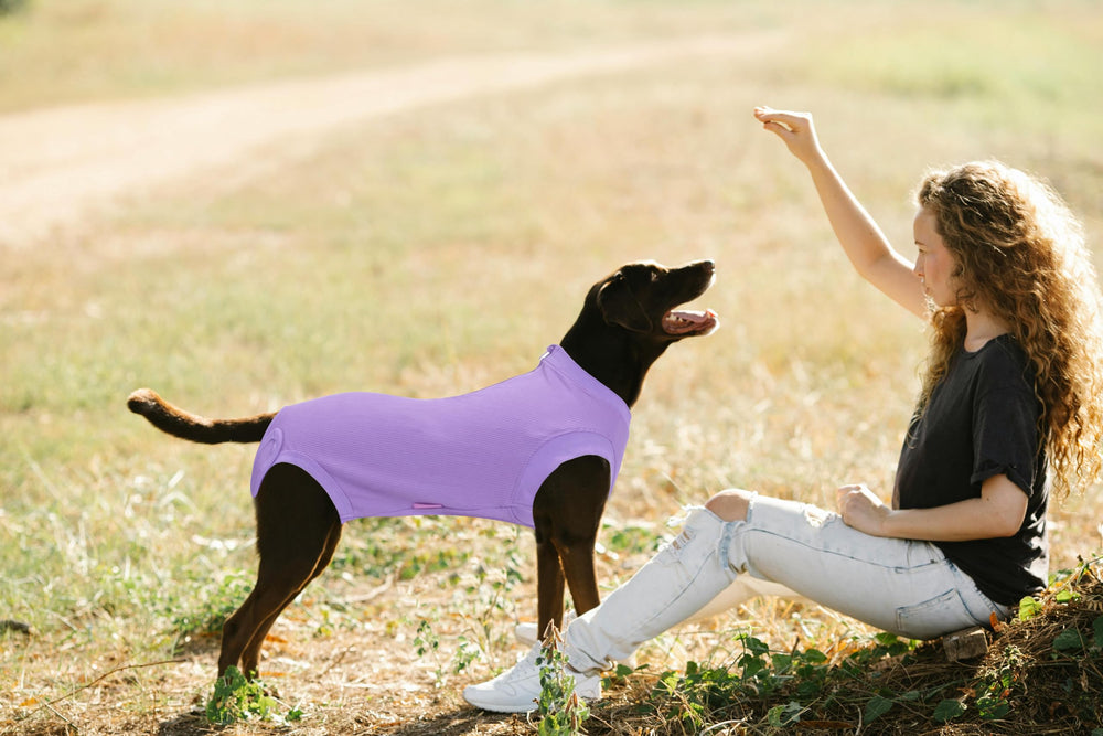 Wabdhaly small-dog surgery suit fit supports small breeds with secure, adjustable design.