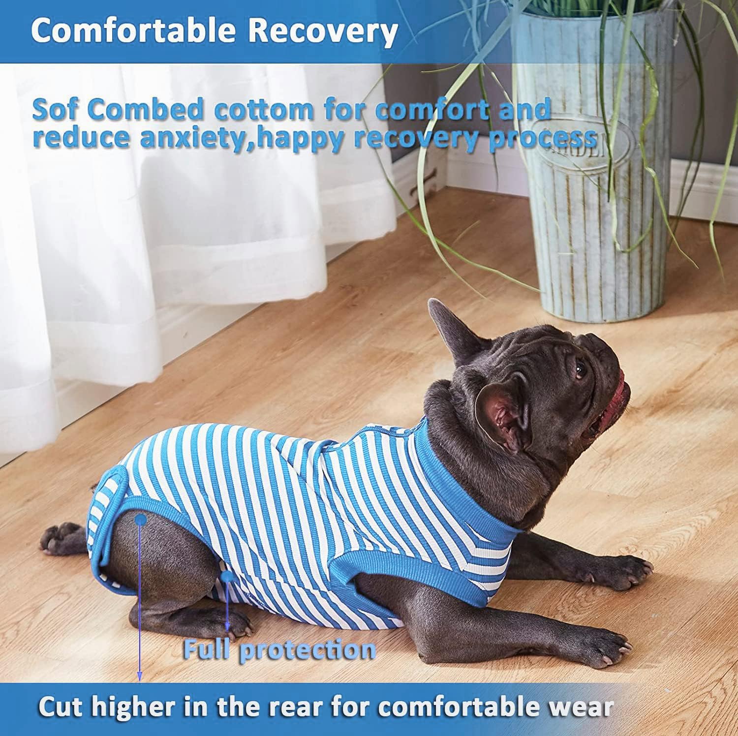 Wabdhaly small-size recovery-suit fits chihuahua-like dogs for comfortable healing.