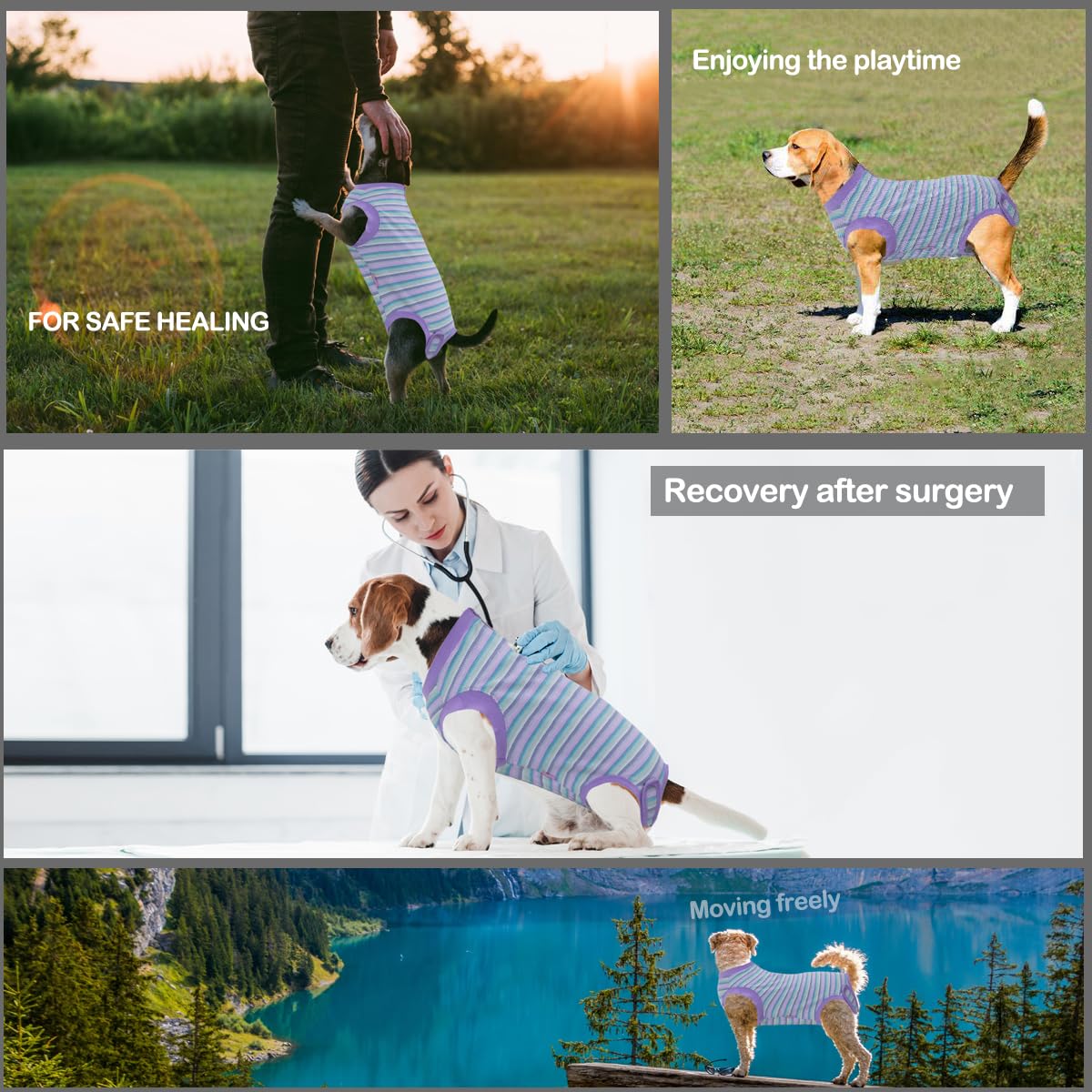 Wabdhaly soft breathable dog surgery suit promotes gentle healing after spay