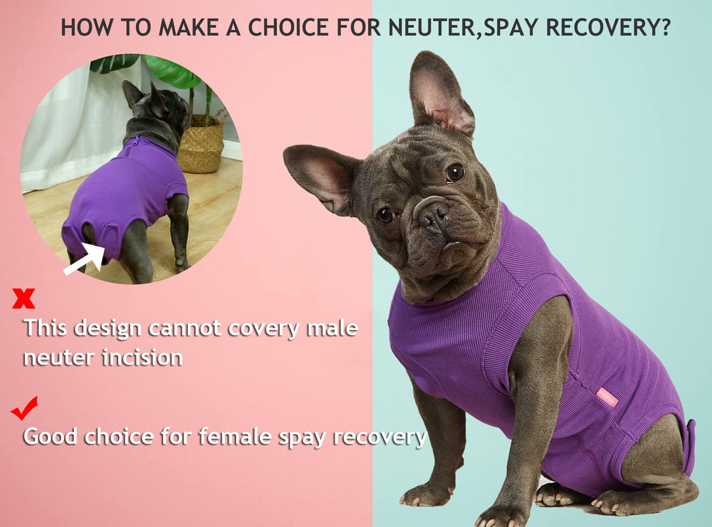 Wabdhaly XS fit helps tiny breeds recover comfortably.