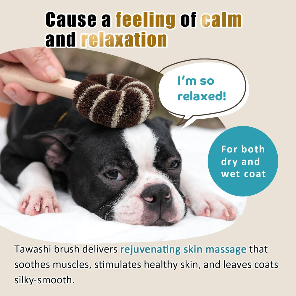 Wablade small-dog tawashi brush ideal for daily home grooming