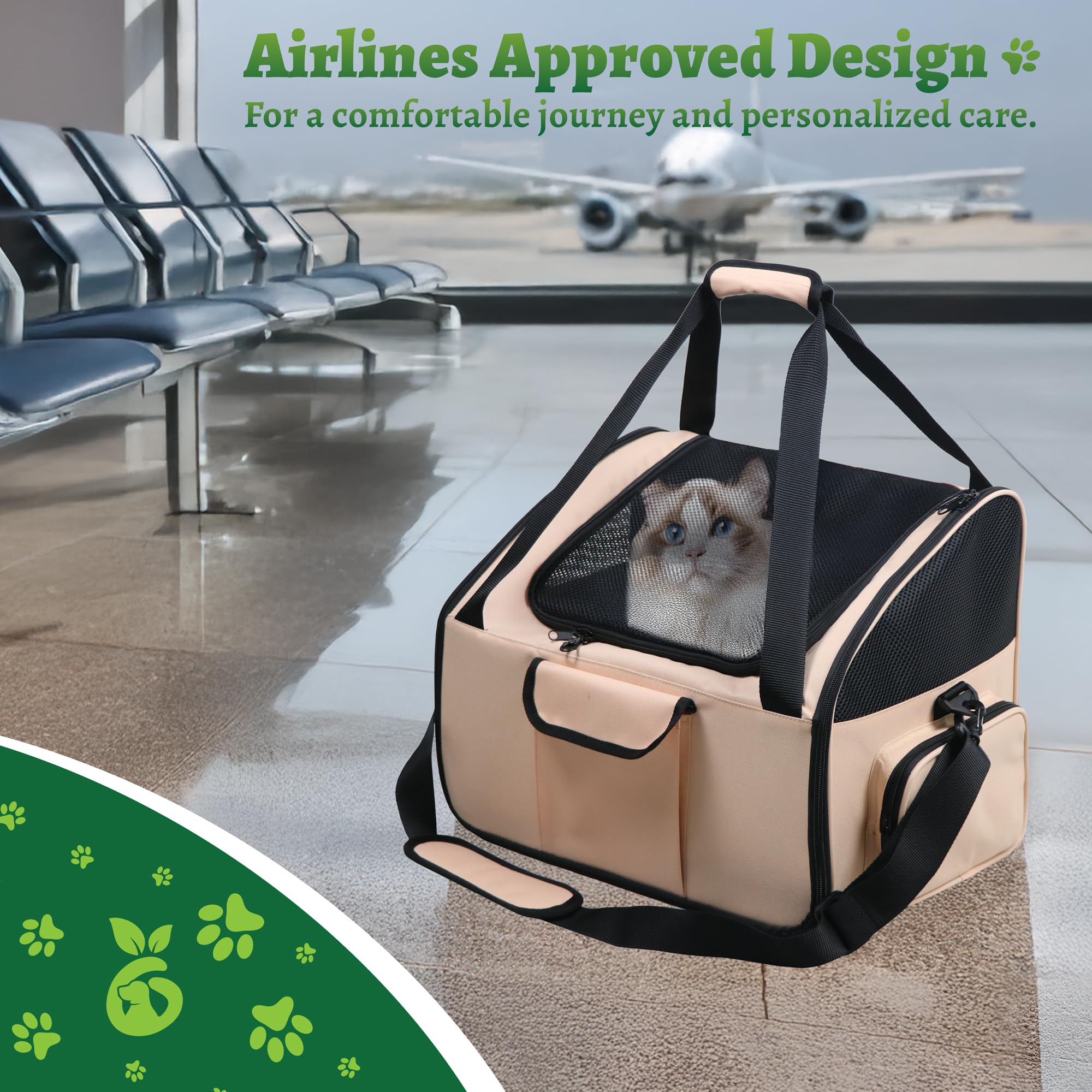 Wag Onward pet travel toy included keeps dogs entertained on journeys.