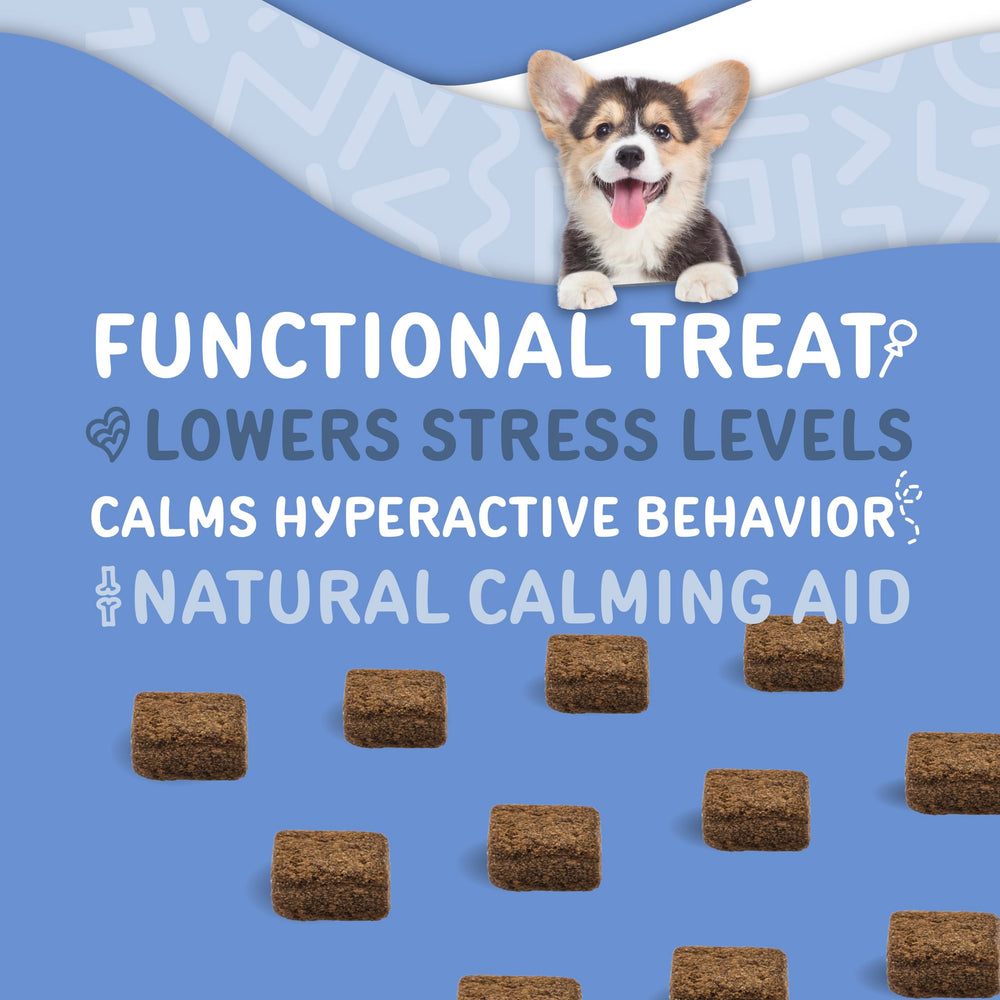 waggedy Calm with Melatonin chews dog lying down shows relaxed mood after treat.