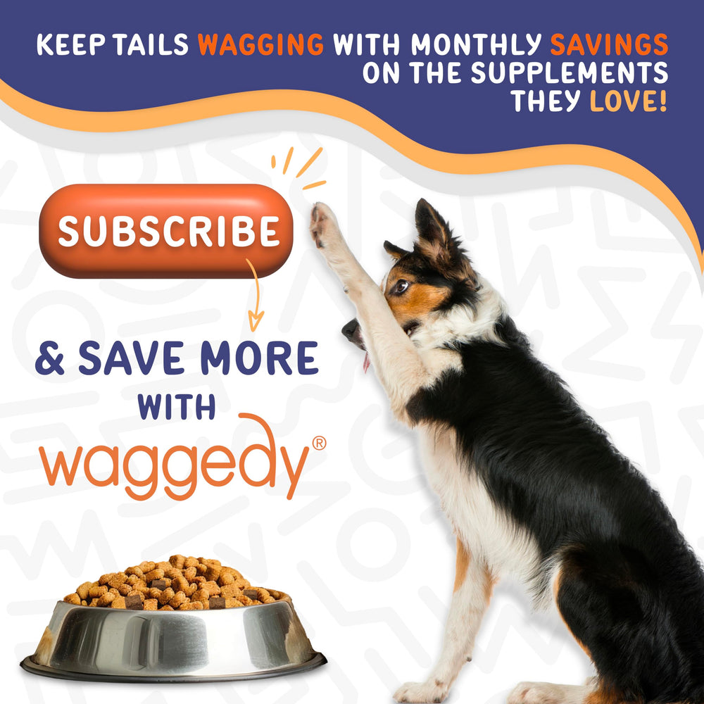 waggedy Calm with Melatonin chews in food bowl easy to mix with meals.