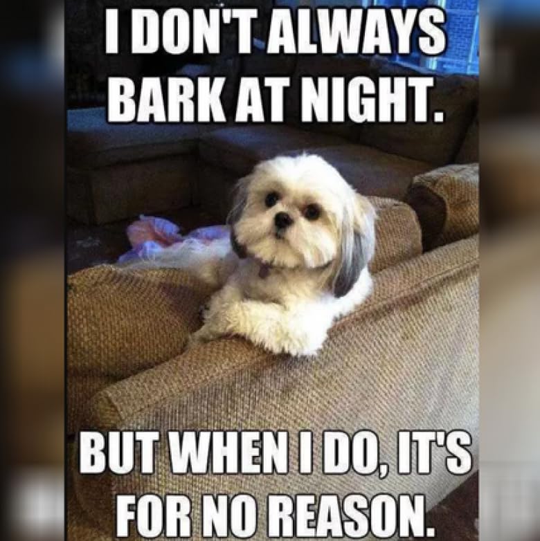 Wagglz Ultrasonic Bark Deterrent uses humane ultrasonic tones to guide behavior