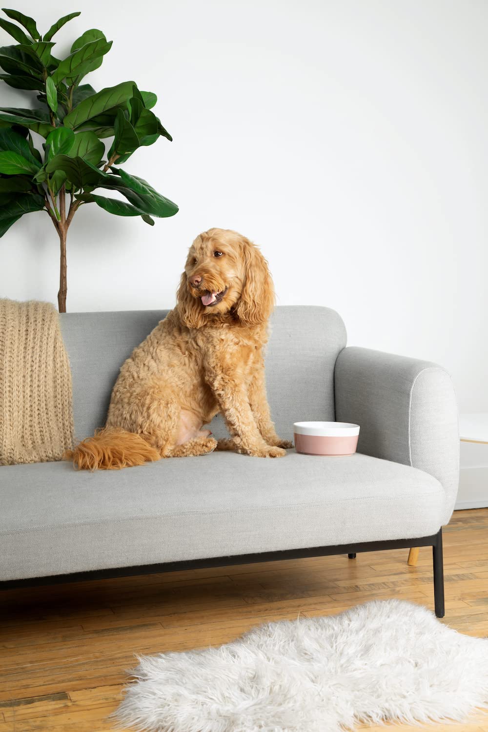 Waggo Dipper bowl stoneware-detail highlights durable ceramic construction and quality finish.