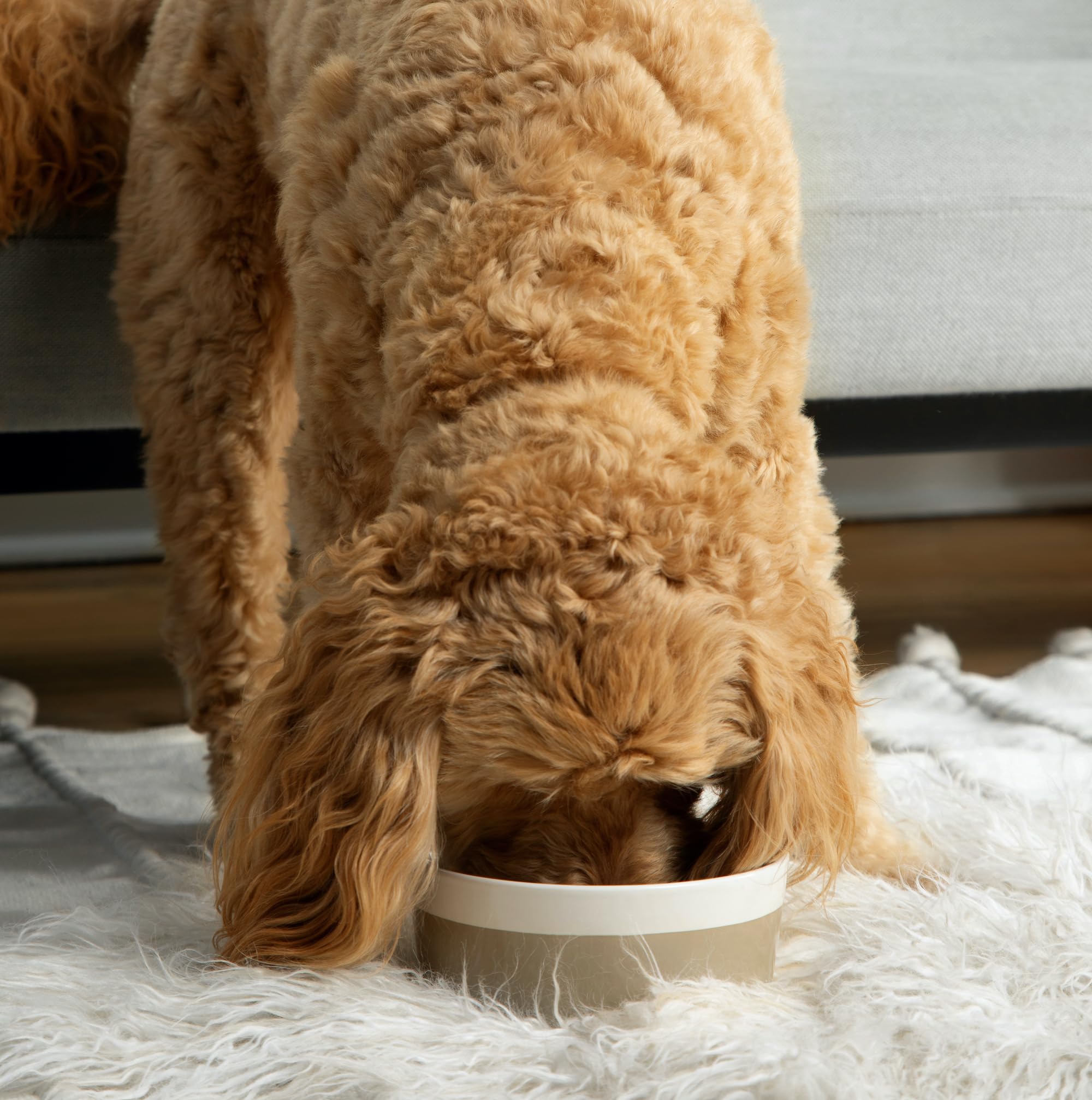 Waggo Dipper large top view emphasizes wide opening for easy feeding