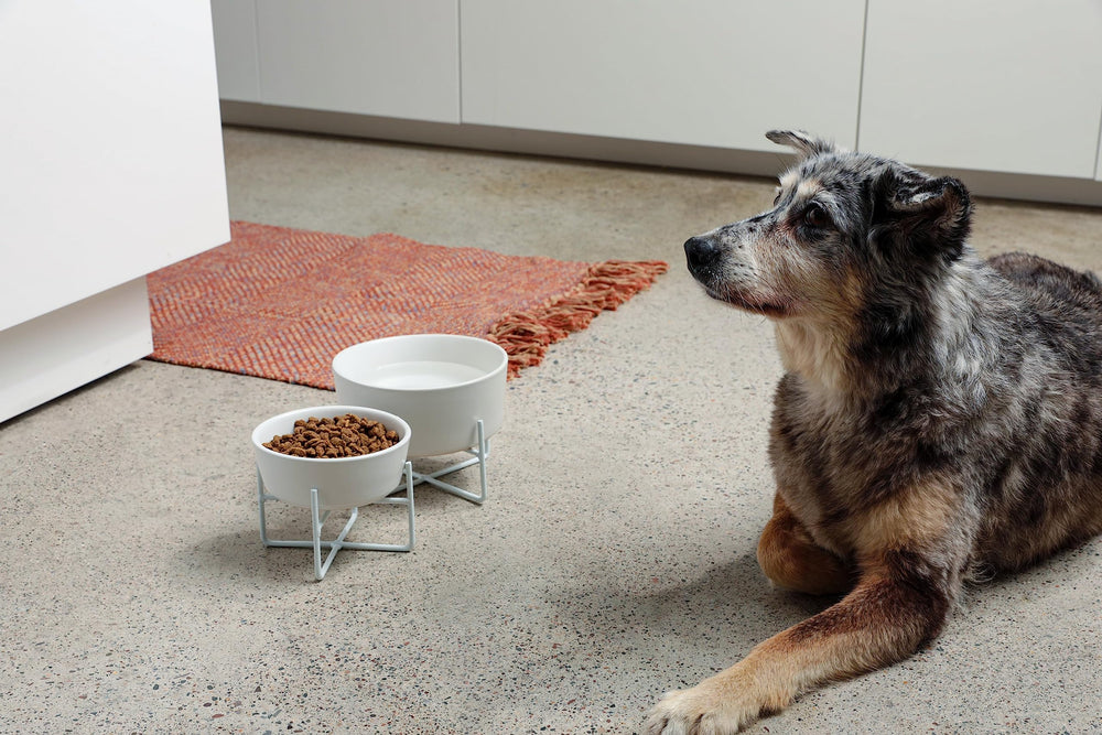 Waggo iron base detail highlighting sturdy support for elevated feeding.