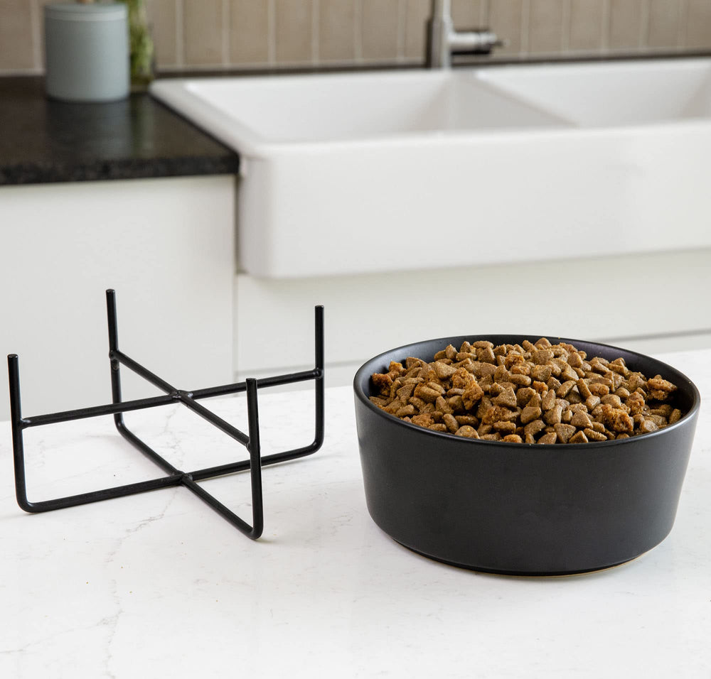 Waggo bowl with microwave-safe label for easy reheating option.