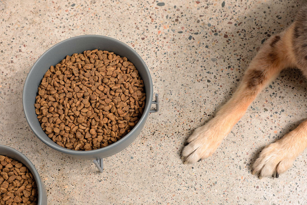 Waggo simple solid collection pairing tips for coordinating with treat jars.