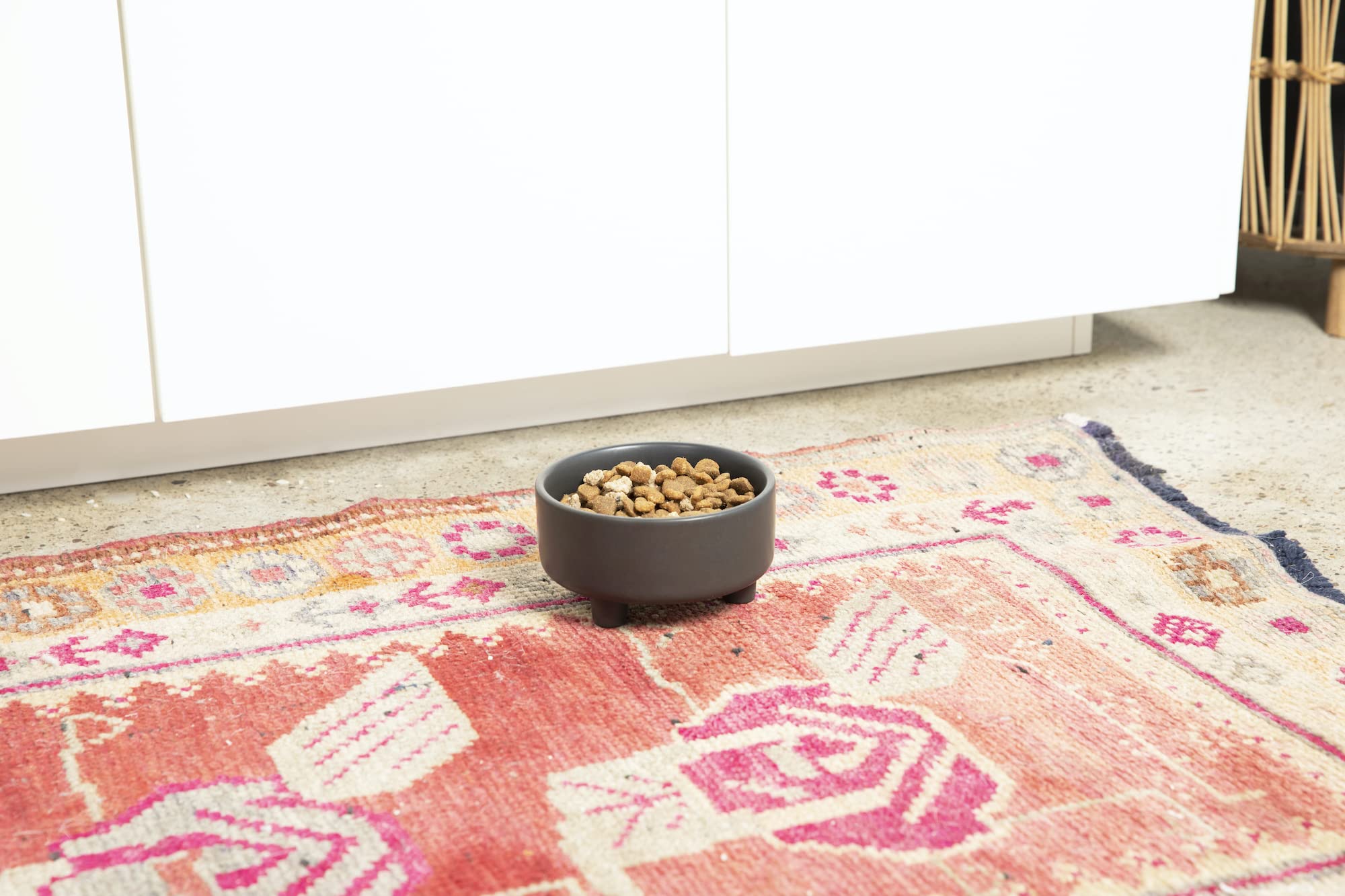 Waggo Uplift dishwasher-safe icon communicates easy cleaning in busy households