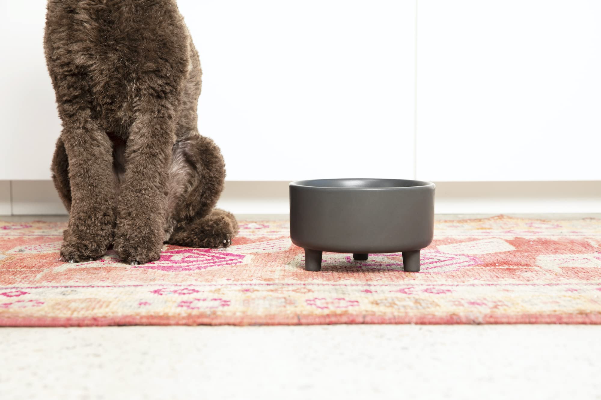 Waggo Uplift small 2 cup black ceramic bowl for small breeds