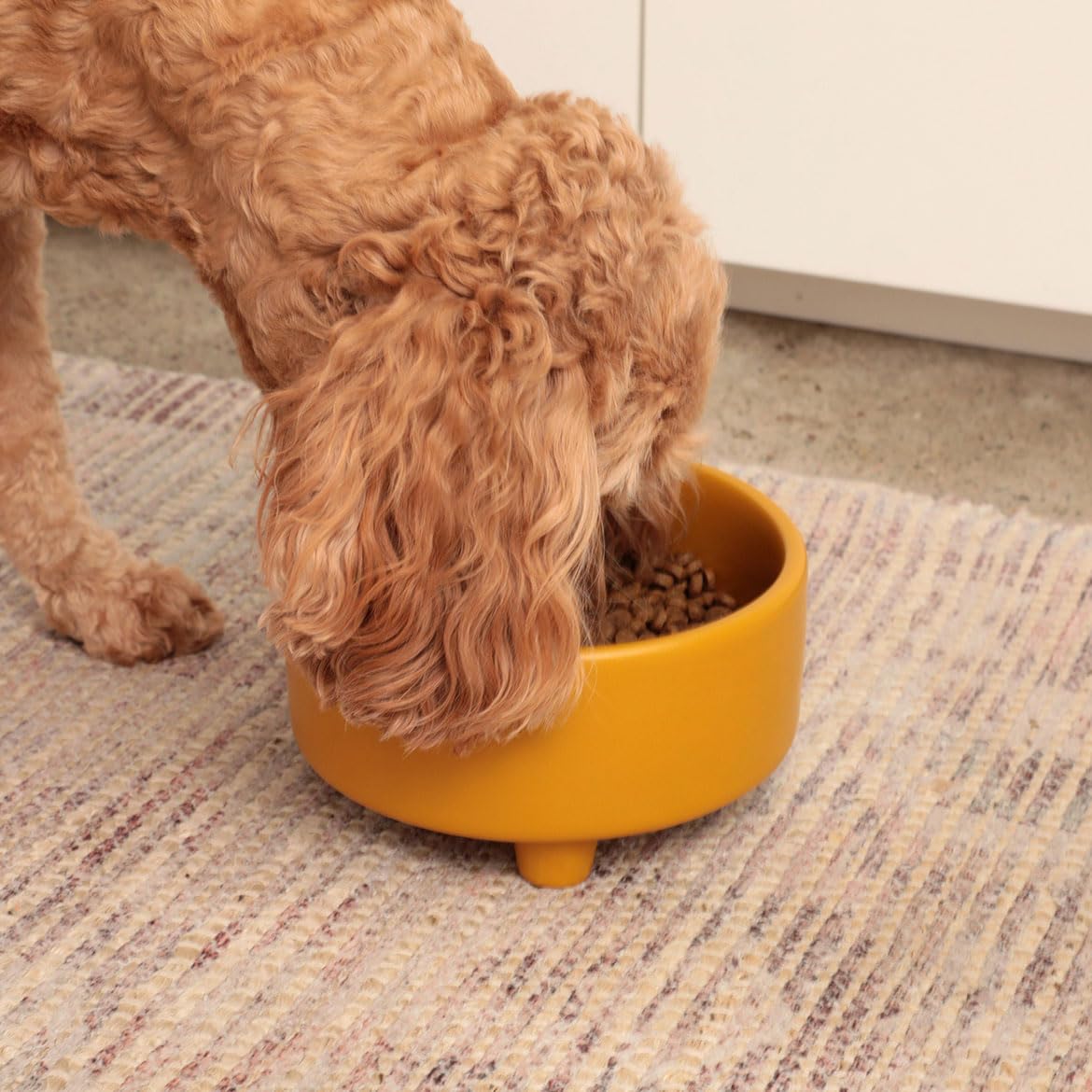 Waggo Uplift mustard ceramic bowl with raised legs for mess-free feeding.