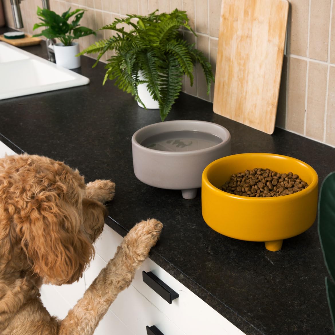 Waggo Uplift large 8-cup mustard bowl close-up showing capacity.