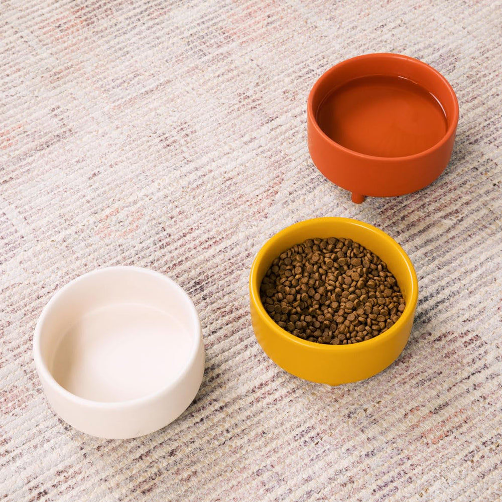 Waggo Uplift multi-pet mustard bowl suitable for cats and small mammals.