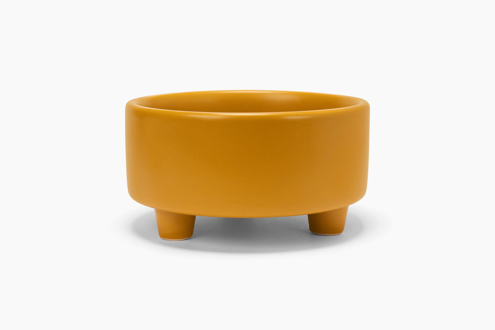 Waggo Uplift mustard bowl paired with placemats for a cohesive setup.