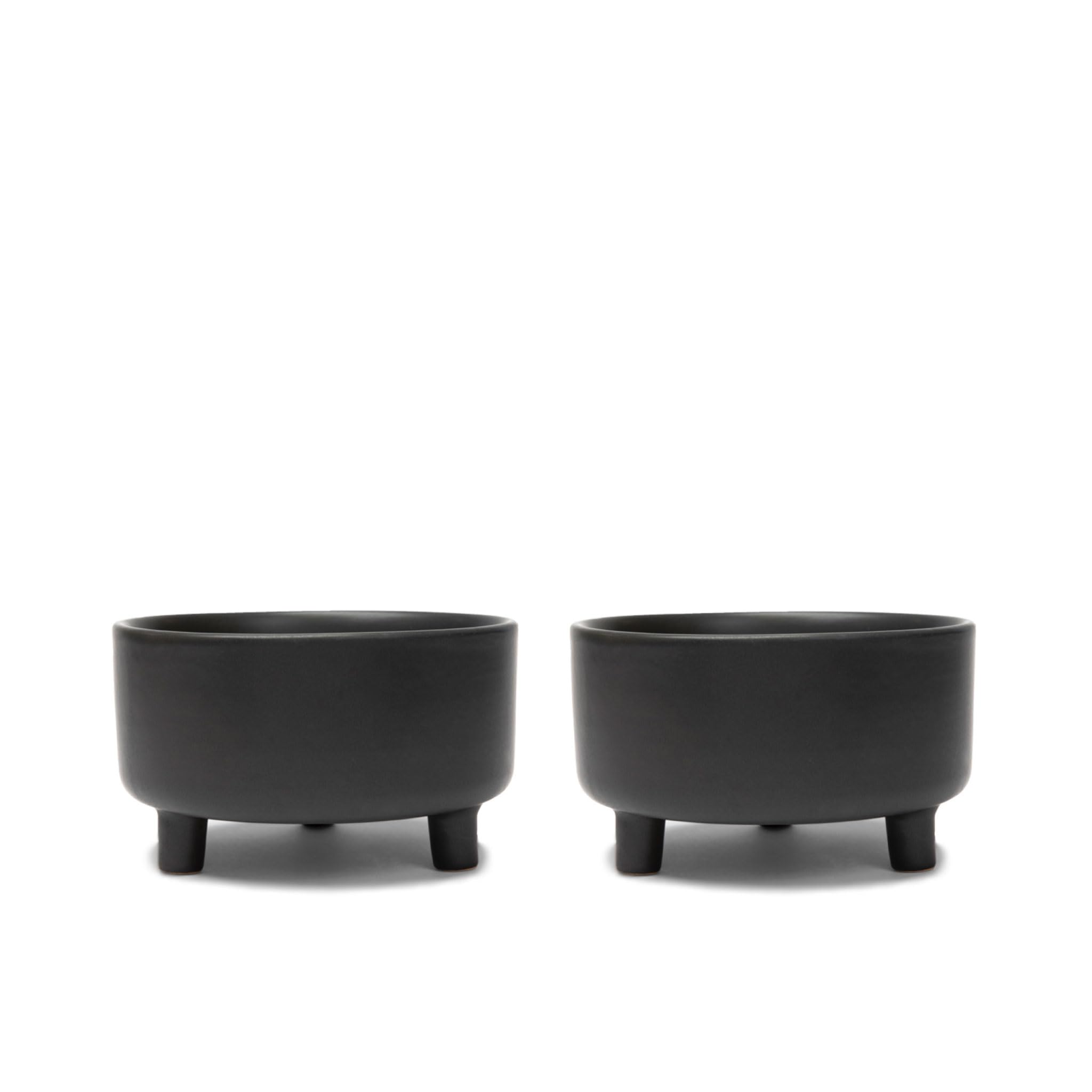Waggo Uplift ceramic dog bowl set—large size, front view, steady feeding design.