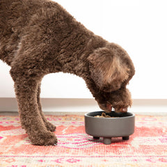 Waggo Uplift dishwasher-safe ceramic detail showing easy cleaning.