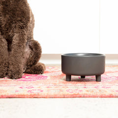 Waggo Uplift elevated feeder legs close-up for comfortable dining height.