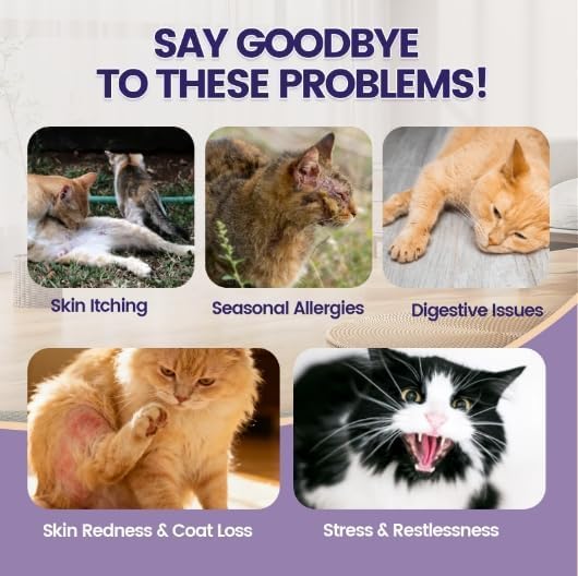 Wagmee all breeds and ages friendly cat supplement in a convenient form.