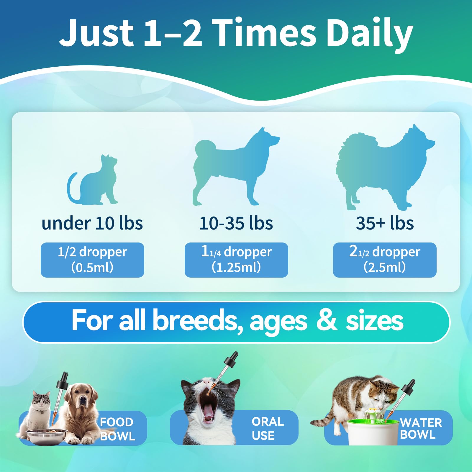 Wagmee alllife-stages-use illustrates suitability for puppies to seniors