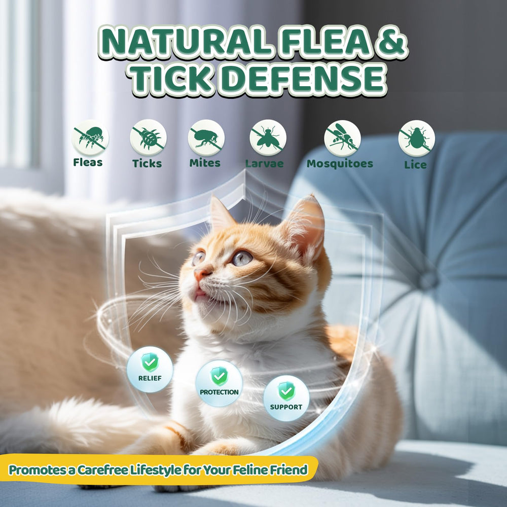 Wagmee cat-chews skin-coat-support vitamins promote healthy fur and comfortable coat
