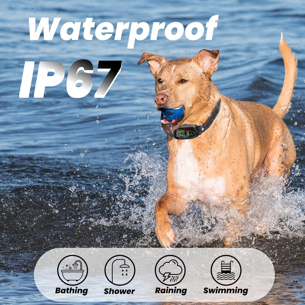 Wagnation bark collar battery life up to 15 days