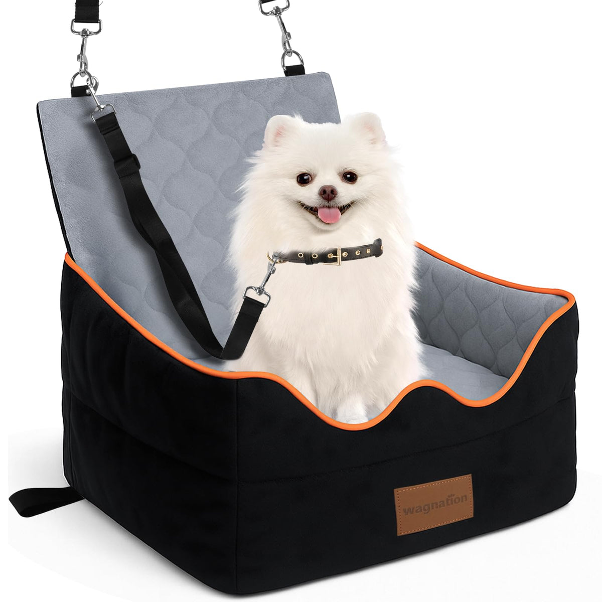 Wagnation dog car seat with elevated view improves outside visibility for small dogs on drives