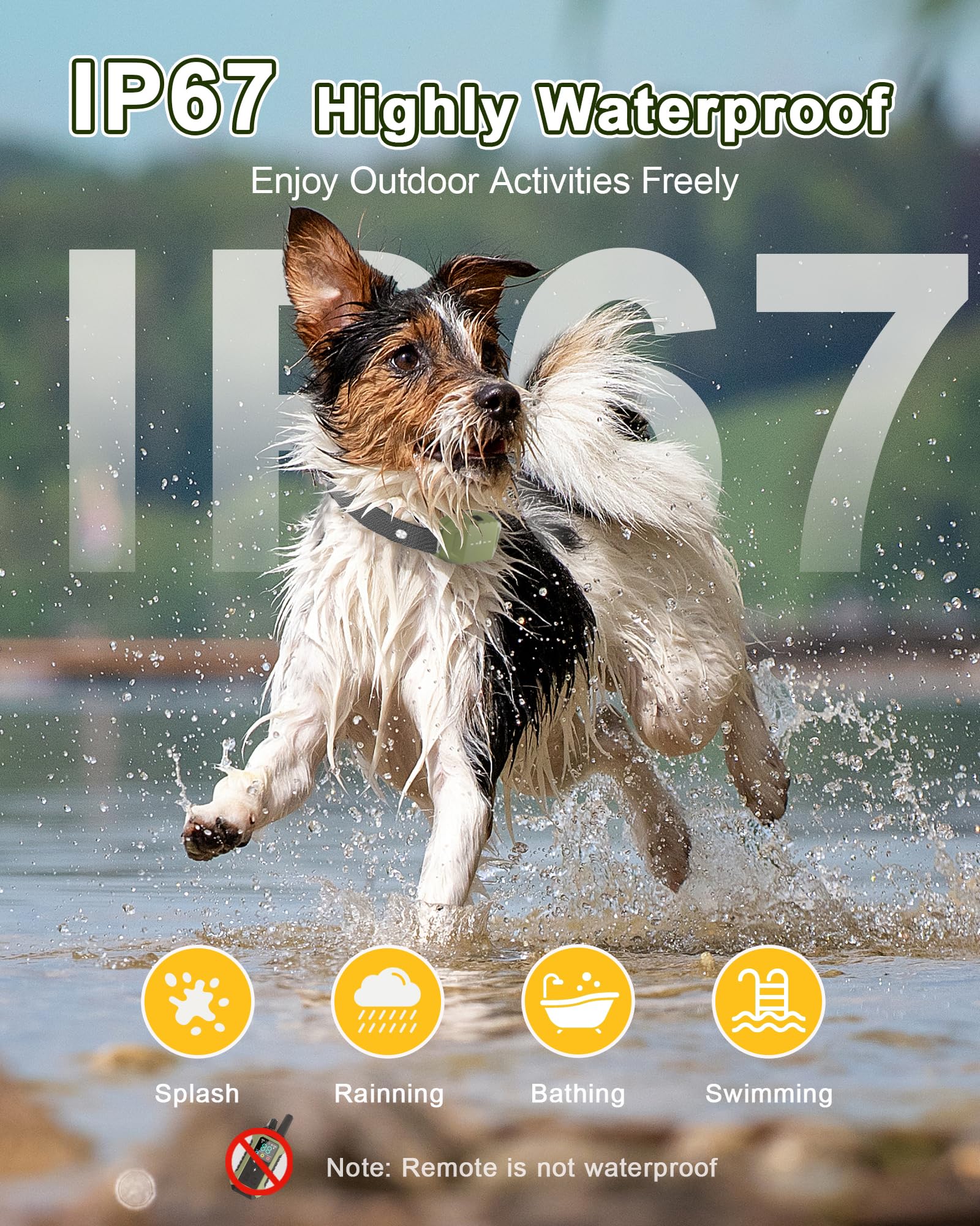 Wagnation dual-channel system allows training two dogs simultaneously.