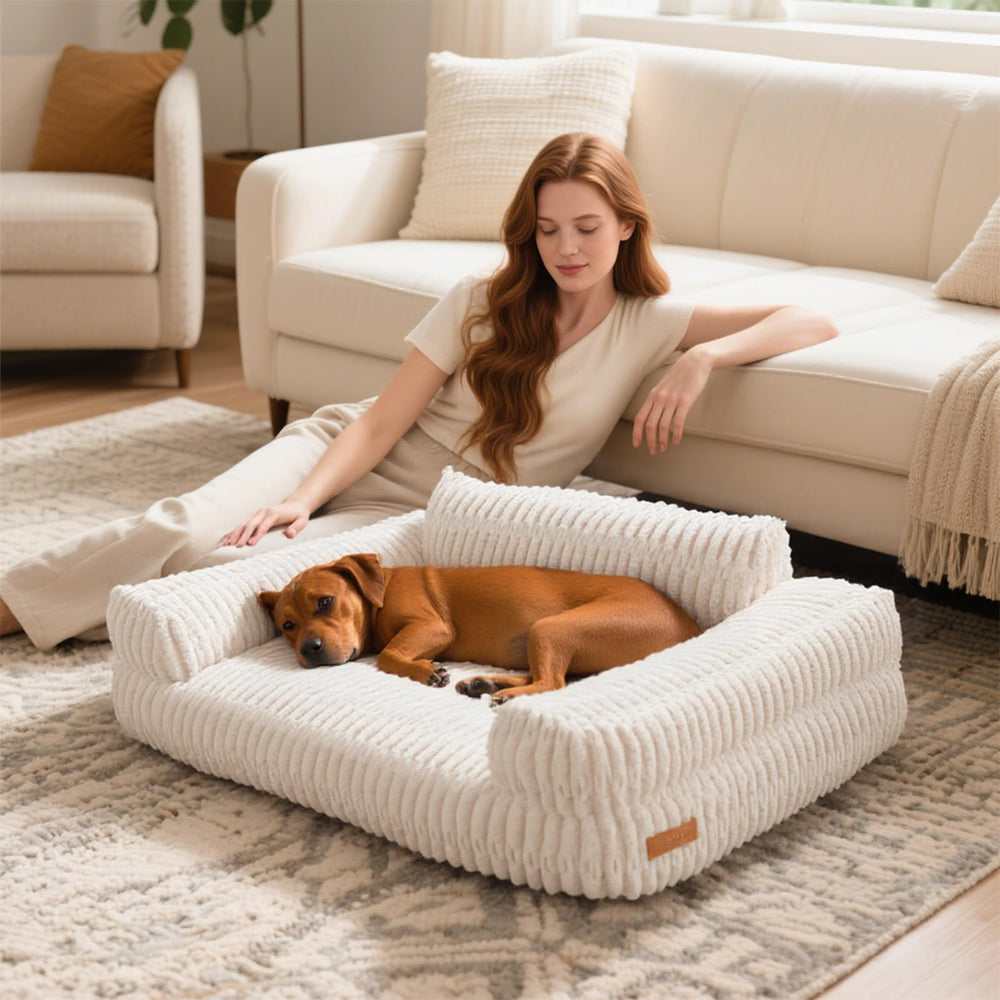 Wagsage sofa bed design snippet shows extra neck support and snuggle space