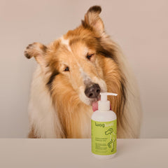 WagWell Ahiflower Omega Oil promotes joint mobility for comfortable daily activities.