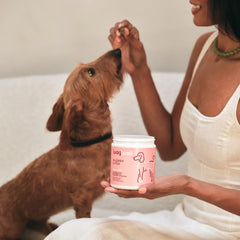 WagWell ingredients close-up featuring Colostrum, Spirulina, and Ahiflower omega