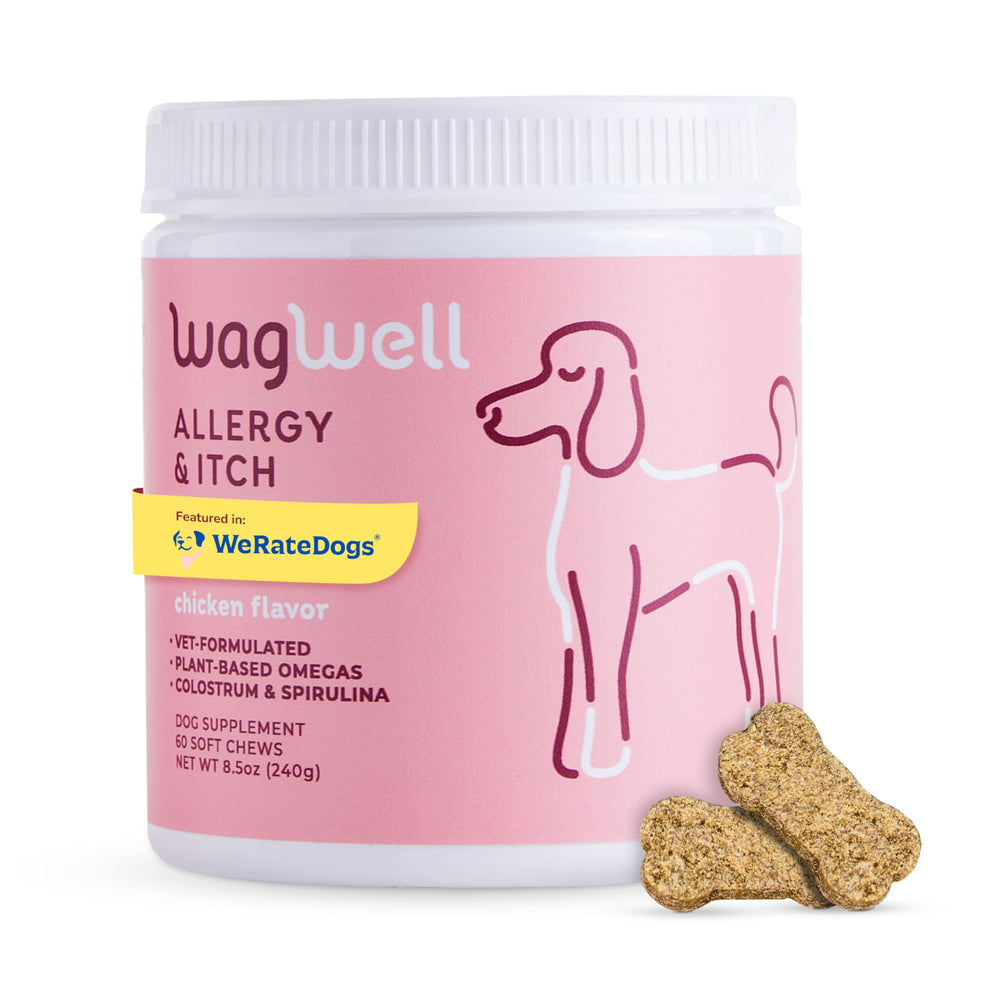 WagWell Allergy Chews jar front highlighting 60 soft chews for allergy relief
