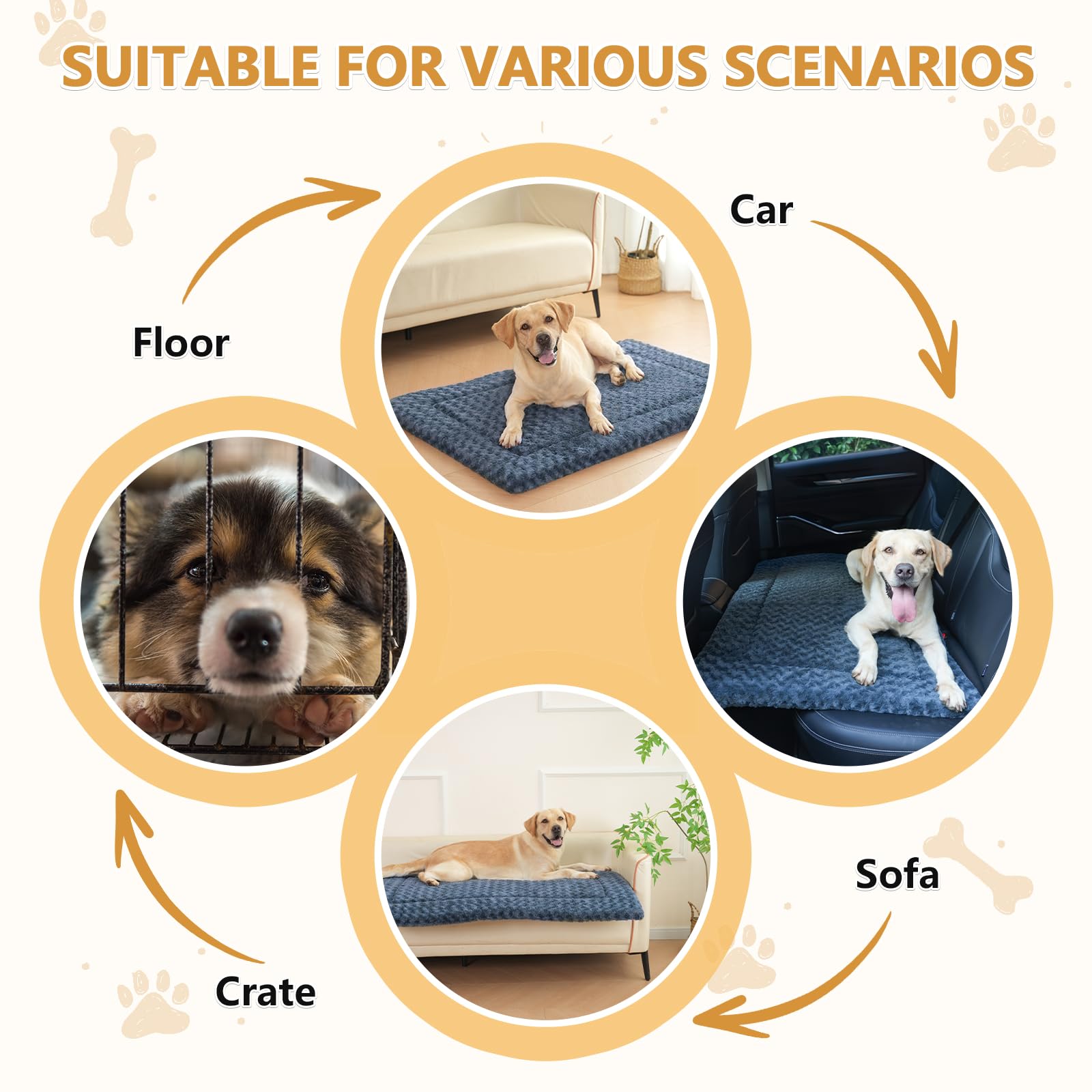 WagWonders machine-washable label emphasizes easy cleaning and odor control.