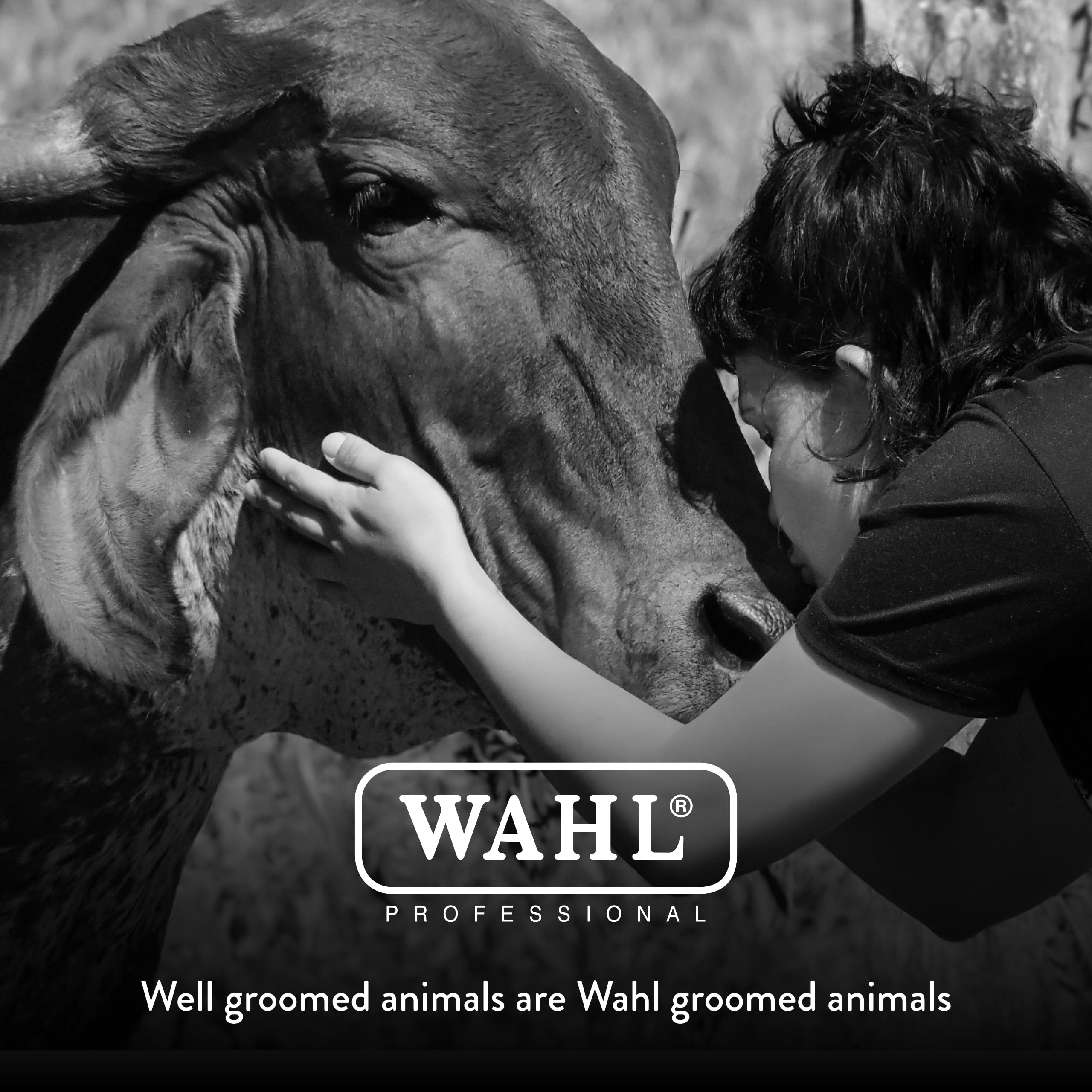 Wahl brand-new blade, packaged for quality assurance and ready to install.