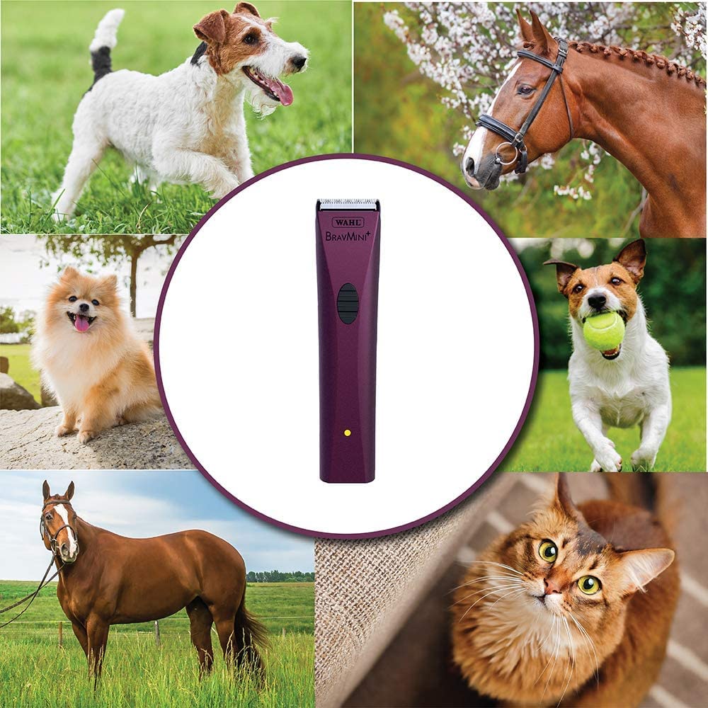 Wahl BravMini+ compact design fits comfortably in hand during grooming.