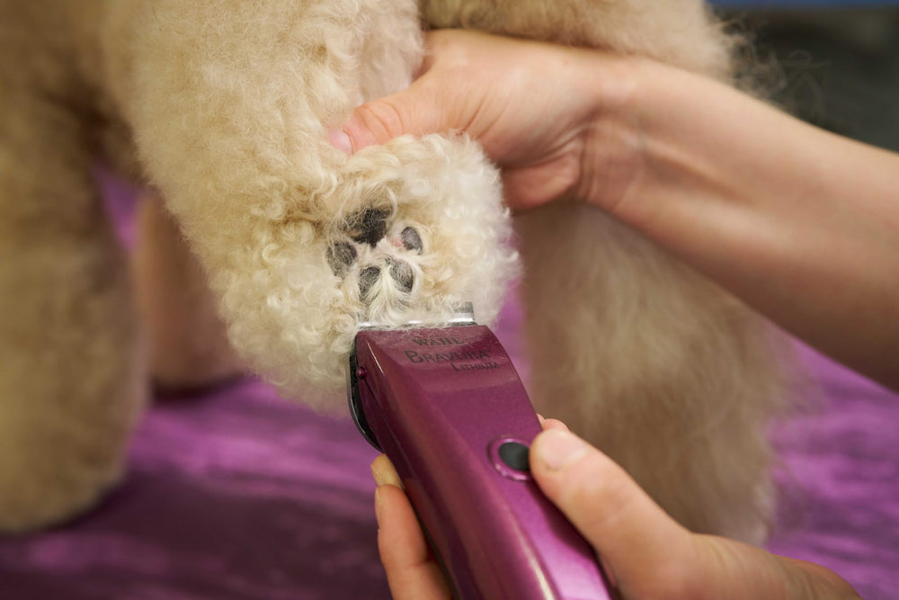 Wahl Bravura charging stand keeps clipper ready between sessions