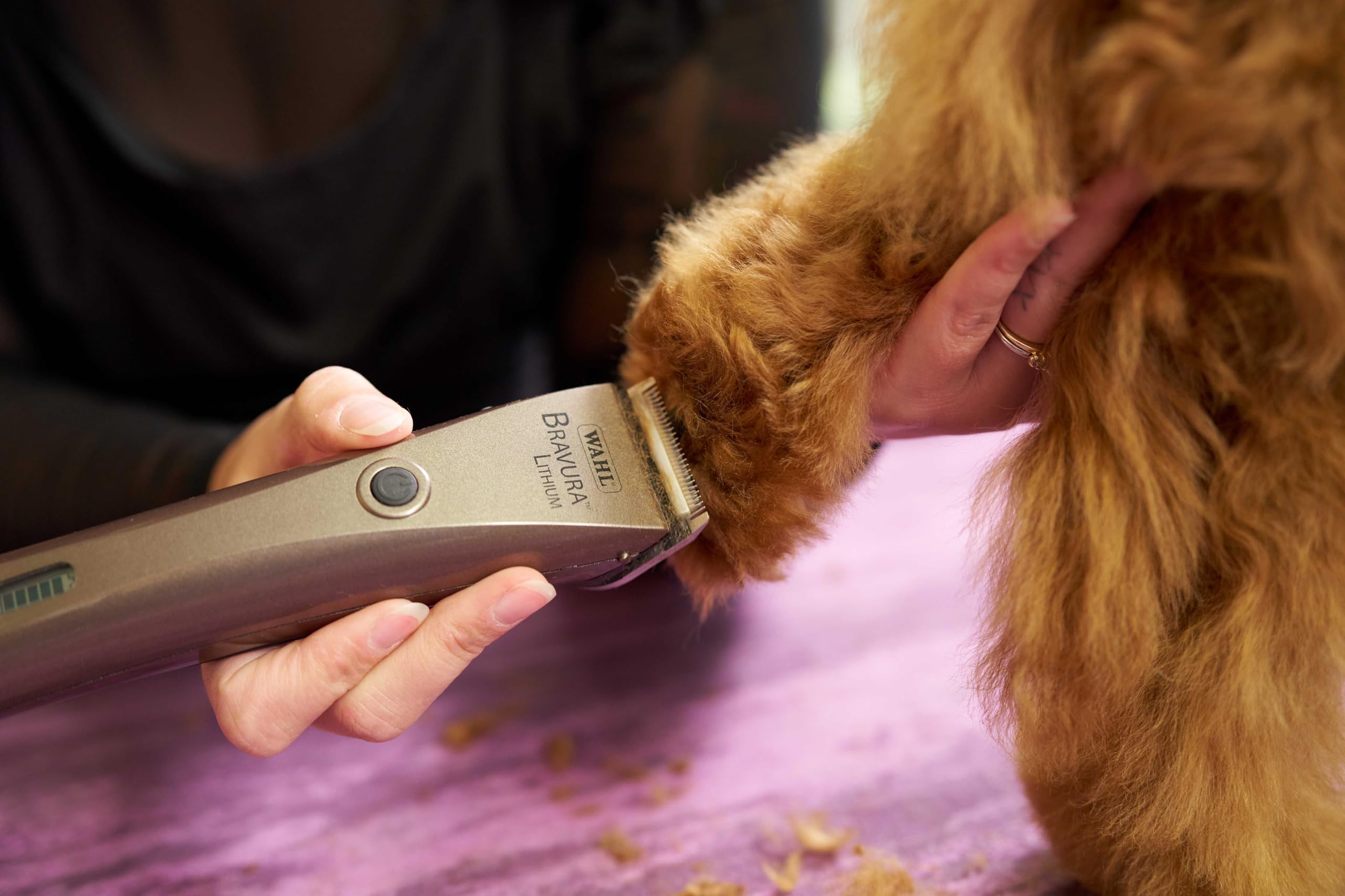Wahl Bravura soft storage case keeps grooming tools organized