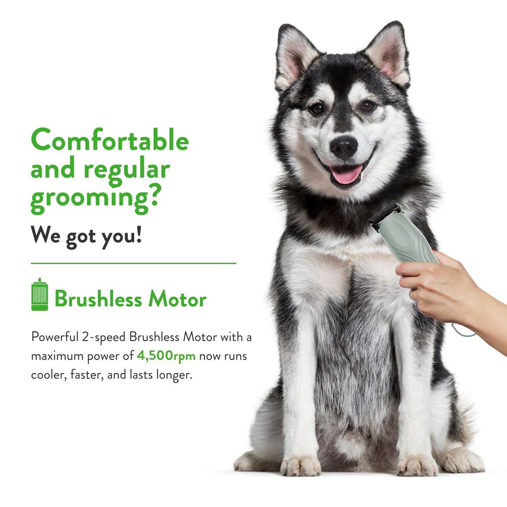 Wahl KMC+ 2-speed cordless clipper in sage for versatility