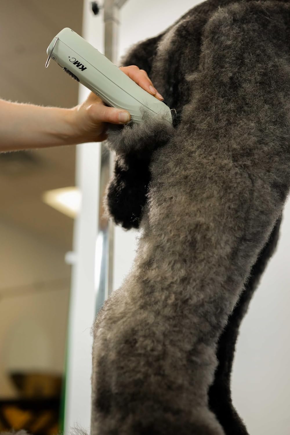 Wahl KMC+ body clipping on horses or livestock with detachable system